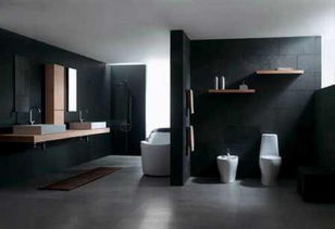 家居裝修必讀指南 如何選購瓷磚與衛(wèi)生潔具